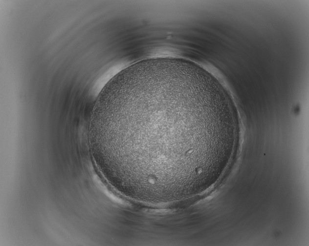 X0000111471337200907201127