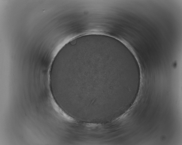 X0000111471341200907201127