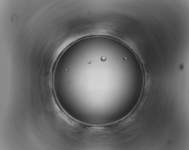 X0000111471342200907201127