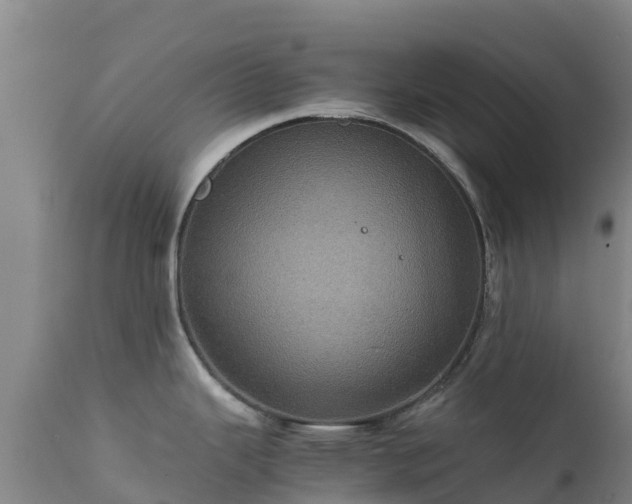 X0000111471343200907201127