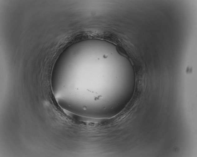 X0000111471345200907201127