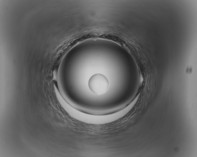 X0000111471349200907201126