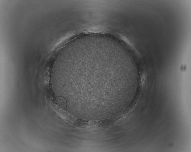 X0000111471350200907201126