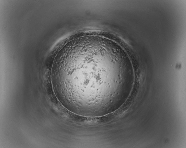 X0000111471351200907201126