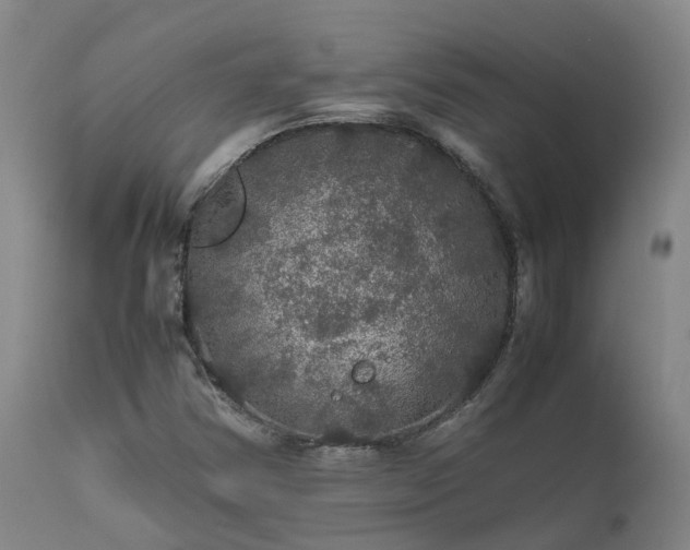 X0000111471354200907201126