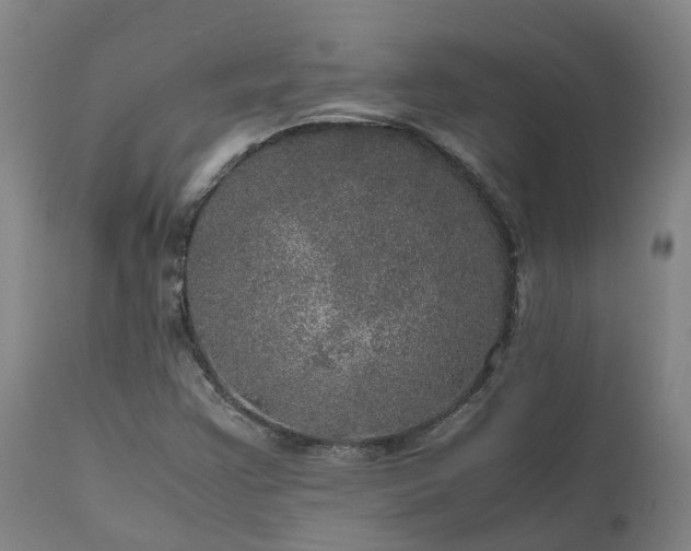 X0000111471355200907201126