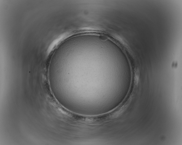 X0000111471357200907201126