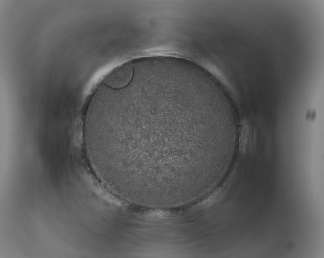 X0000111471358200907201126