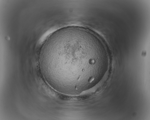 X0000111471359200907201126