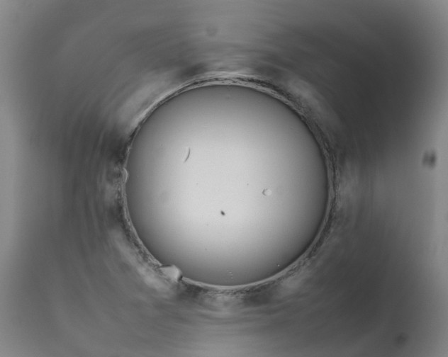 X0000111471361200907201126