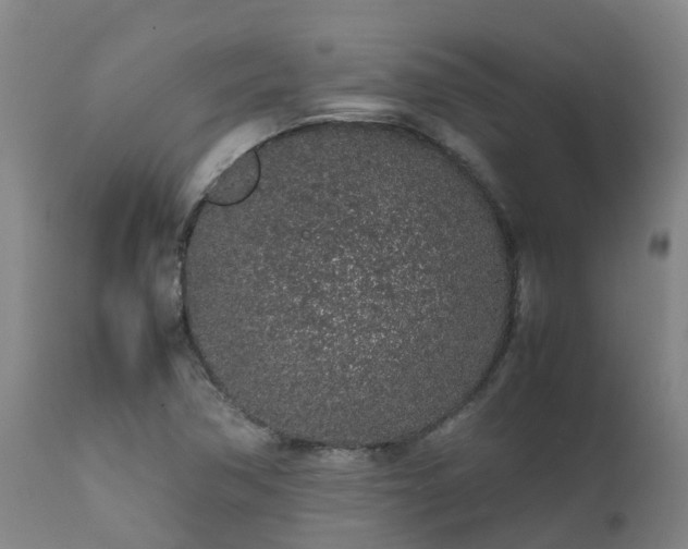 X0000111471362200907201126