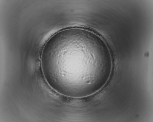 X0000111471363200907201126