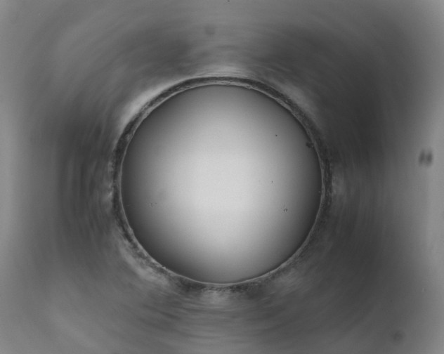 X0000111471364200907201126