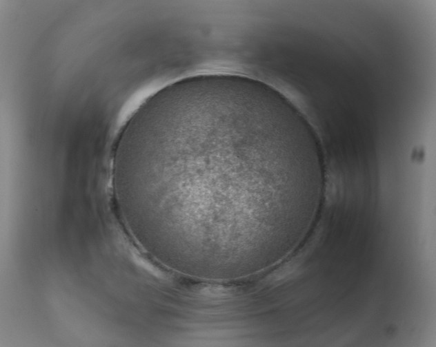 X0000111471366200907201126