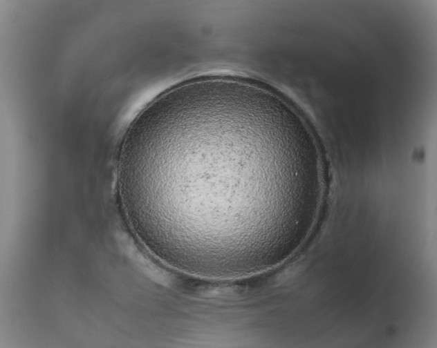 X0000111471367200907201126