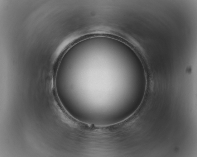 X0000111471368200907201126