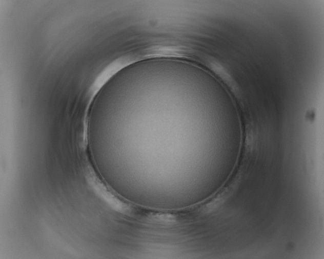 X0000111471370200907201126