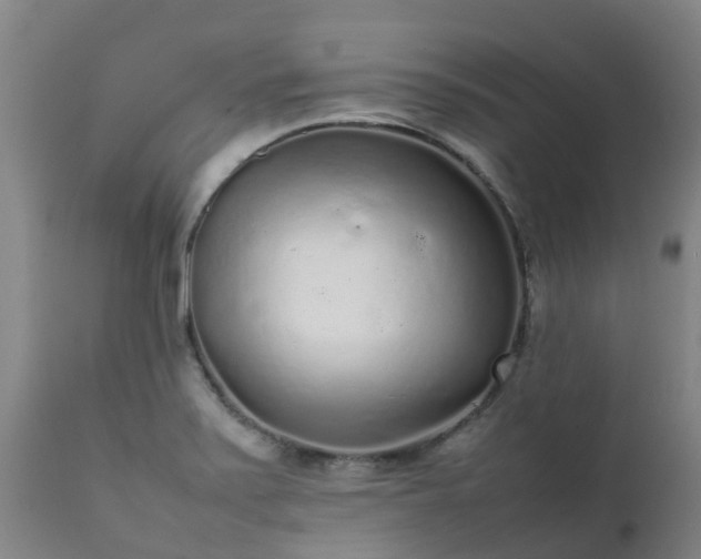 X0000111471371200907201126