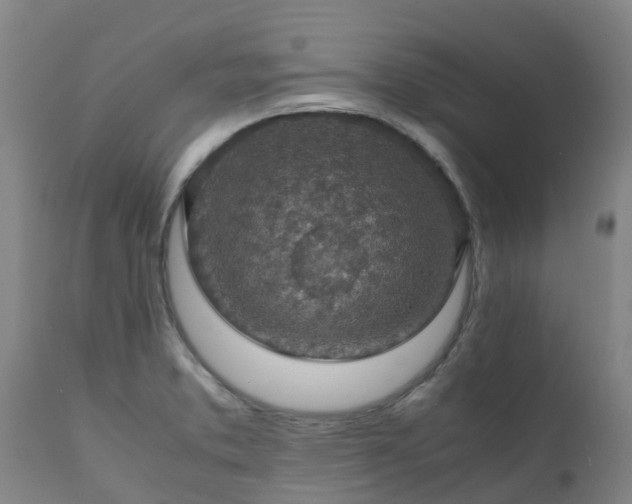 X0000111471373200907201126