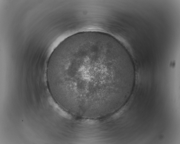 X0000111471374200907201126