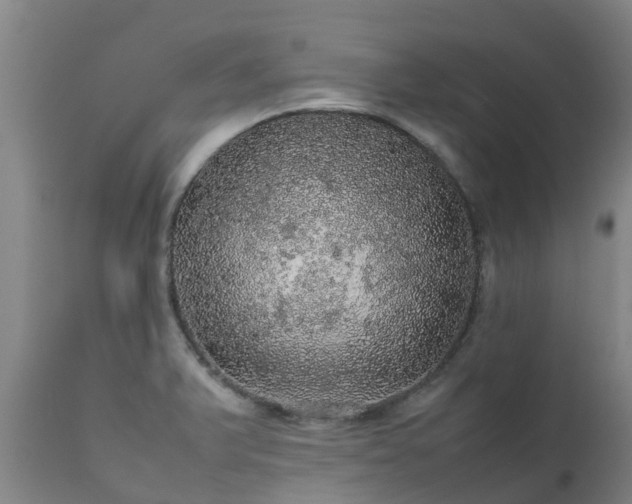 X0000111471375200907201126