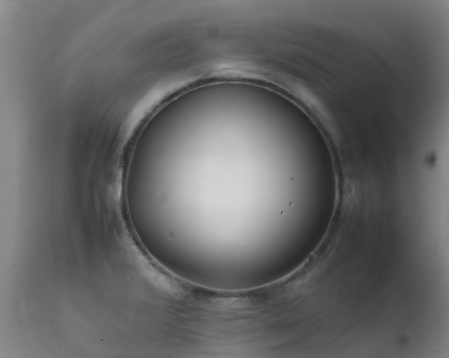 X0000111471376200907201126