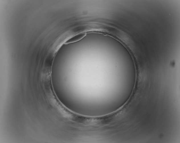 X0000111471377200907201126