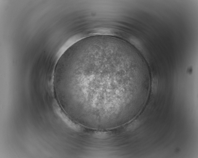 X0000111471378200907201126