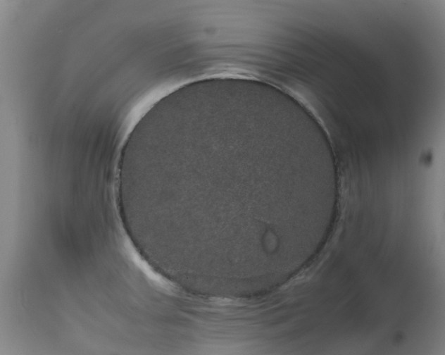 X0000111471379200907201126