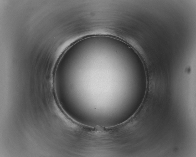 X0000111471380200907201126