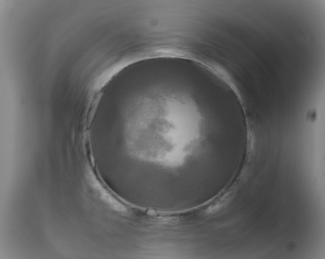 X0000111471381200907201126