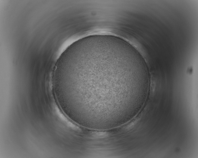 X0000111471382200907201126