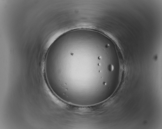 X0000111471383200907201126