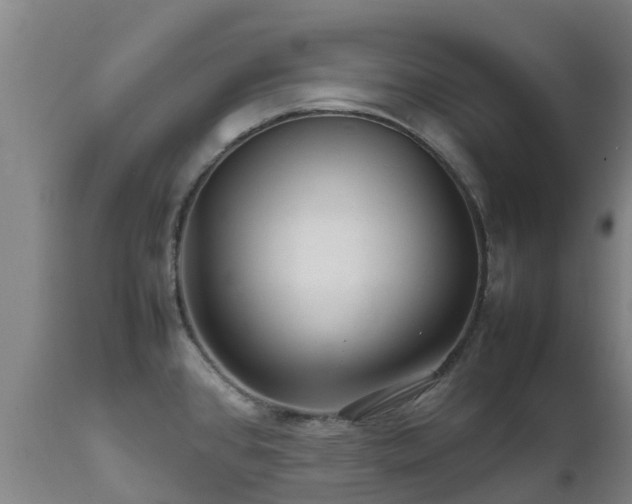 X0000111471384200907201126