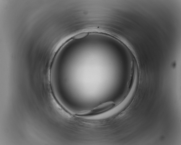 X0000111471388200907201126