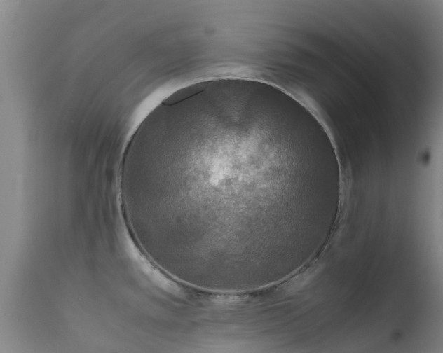 X0000111471389200907201126