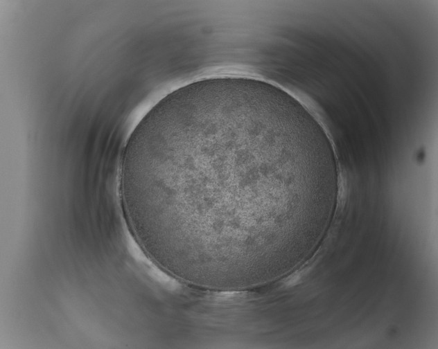 X0000111471390200907201126