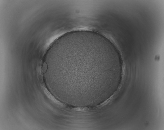 X0000111471404200907201125