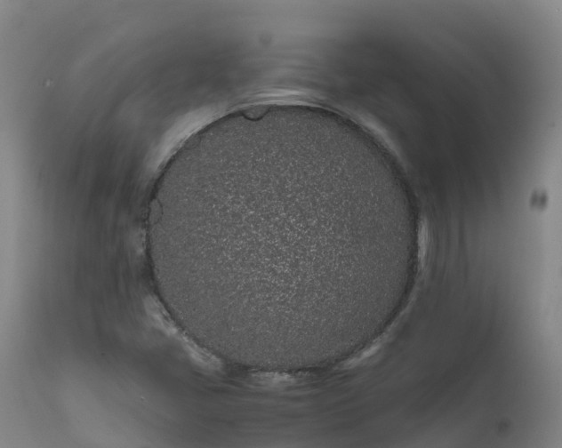 X0000111471405200907201125