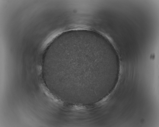 X0000111471407200907201125