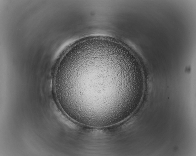 X0000111471408200907201125