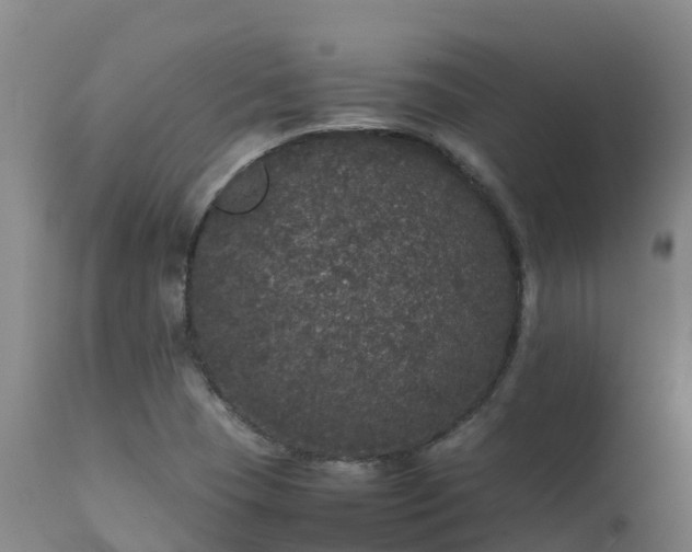 X0000111471409200907201125