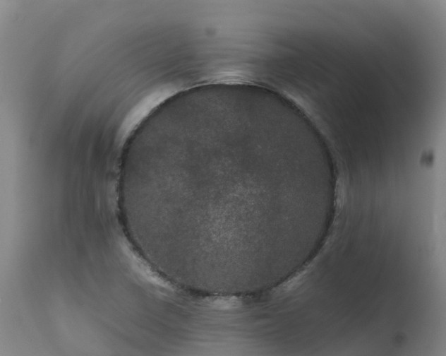 X0000111471410200907201125