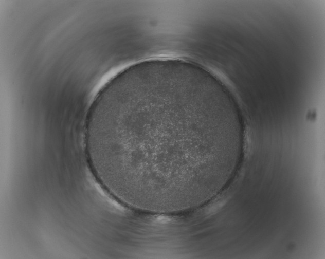 X0000111471412200907201125