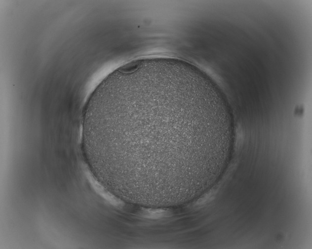 X0000111471413200907201125