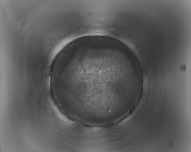 X0000111471414200907201125