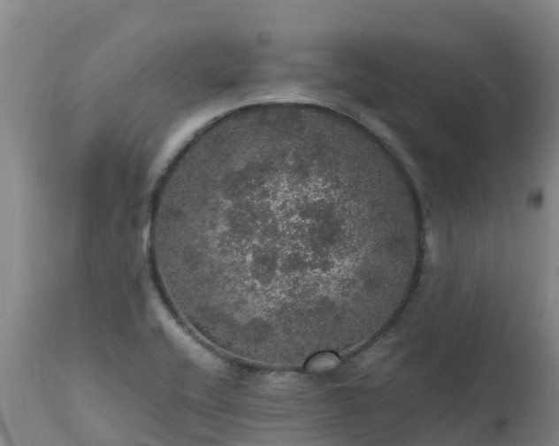 X0000111471416200907201125