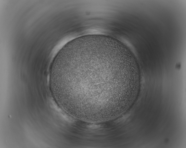 X0000111471419200907201125