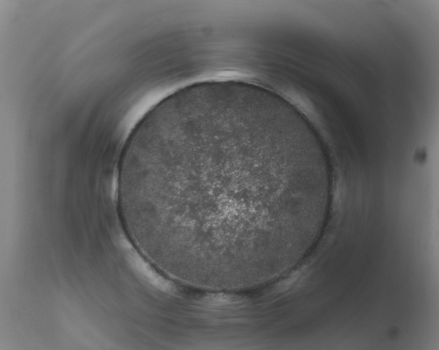 X0000111471420200907201125