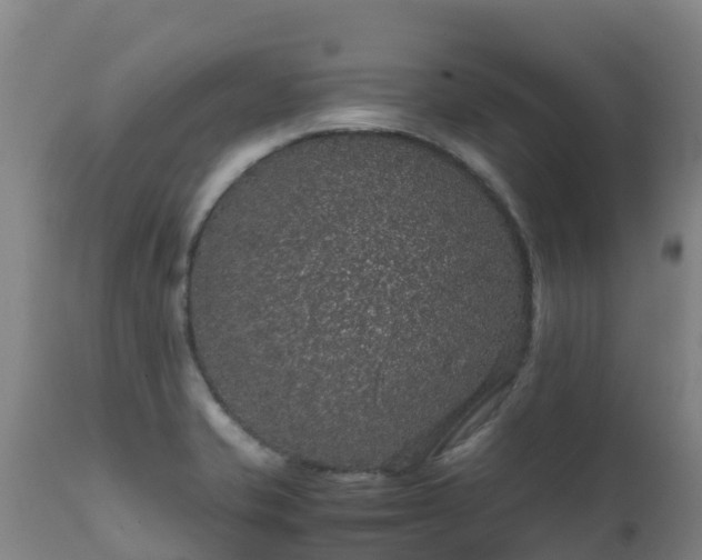 X0000111471421200907201125